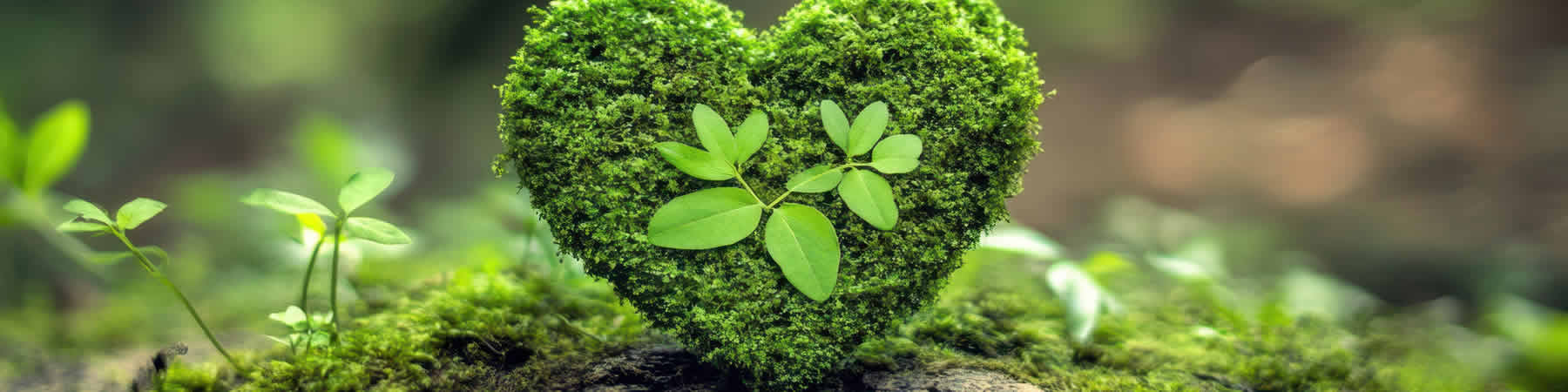 Get help for your mental health by attending research-based mental health and wellness education classes in the Fargo, North Dakota area.