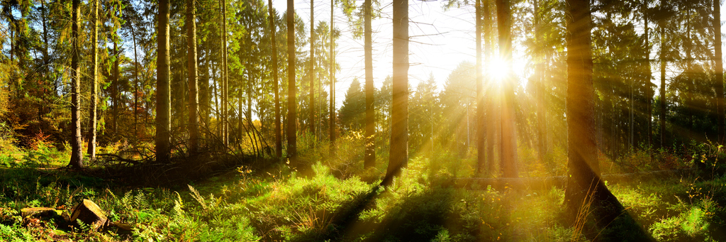 Contact Healing Partners to learn more about our mental health and wellness classes.